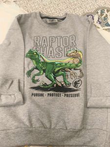 Raptor Chase Kids Sweatshirt