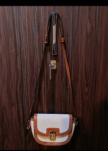 Corisca inspo Colourblocked Sling Bag