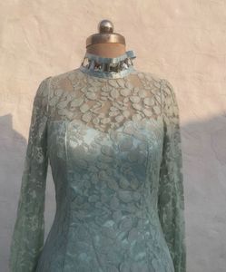 Elegant Lace Dress