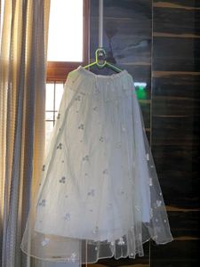 Beautiful Embroidered Skirt