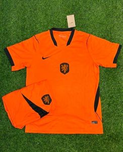 Netherlands Orange Jersey & Shorts Set