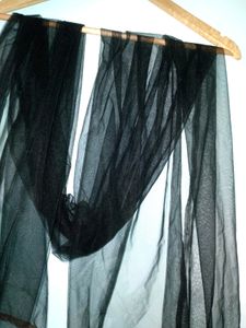 Black Net Dupatta with Gold Border
