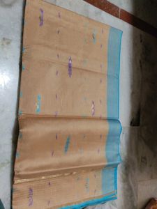 Elegant Tan Saree with Blue Border