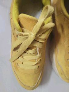 woman sports shoes