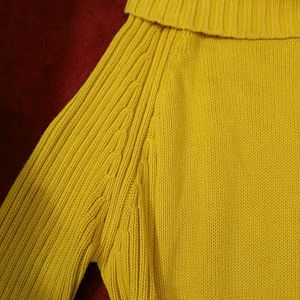 Yellow Fall/winter Turtle Neck Sweater(Women's)