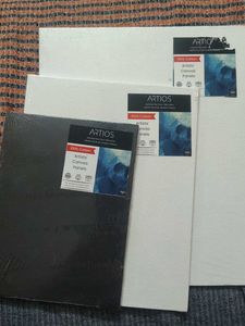 Artios Artists Canvas Panels Set