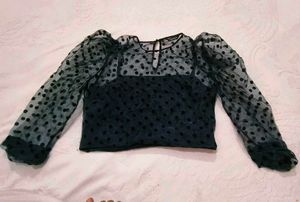 zara Sheer Polka Dot Puff Sleeve Top