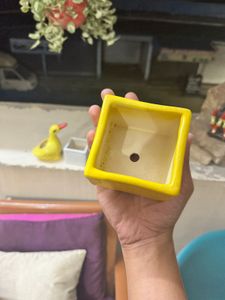Set Of 2 Ceramic Planters