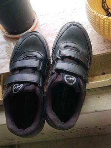 Branded Campus New  Black School And Casual Shoe