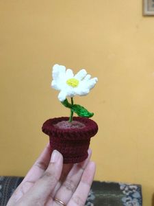 crochet daisy flower pot