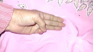 Elegant Pink Saree with Blouse