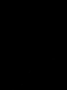 Flag 6
