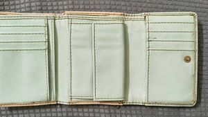 Caprese Pastel Leather Wallet