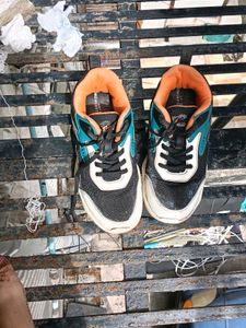 Campus Boys Black &amp; Teal Sneakers