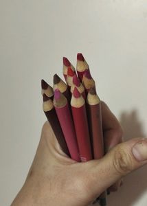 SHILLS Professional lip Colors