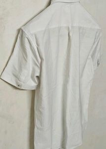 🔥 Price drop Men's Short Sleeve Button-Up Shirt