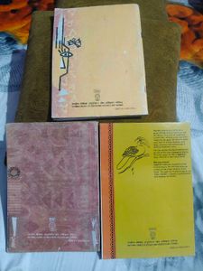 3 English Textbooks for Class X &amp; XI