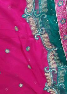 Net Sequins Border Embroidered Saree