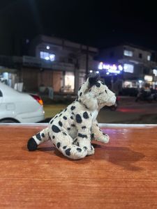 Leopard Big Cat Realistic