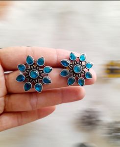 Sliver Polish Earring