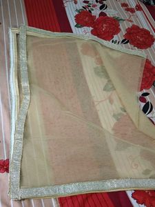 Elegant Gold Net Dupatta with Silver Border