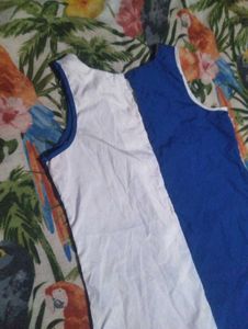 Color Block Sleeveless Mini Dress