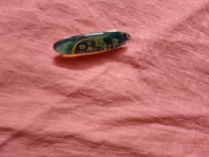 Saree Pin