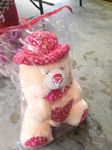 Cute Teddy Bear with Heart Hat