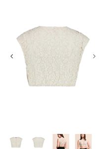 Elegant Lace Cropped Top
