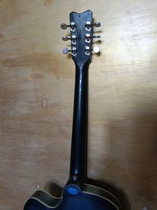 Acoustic Guitar