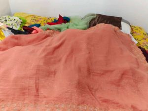 Peach Embroidered Saree