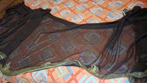 brown heavy saree8
