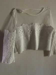 Sheer Lace Sleeve Top/Blouse