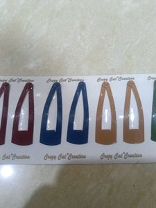 Assorted Hair Clips for Women