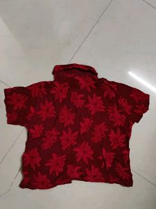 Crop Shirt With Georgette Fabric