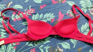 Zivame Red Push Up Padded Bra
