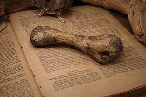 gothic decor bone element