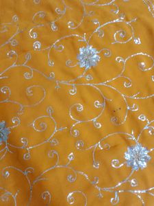 Orange Saree with Silver Embroidery