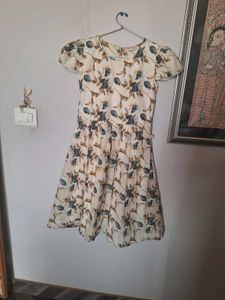 Floral Print Mini Dress