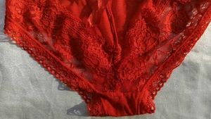 Red Lace Briefs
