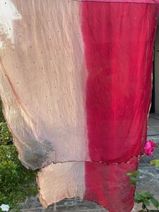 Embellished Ombre Dupatta