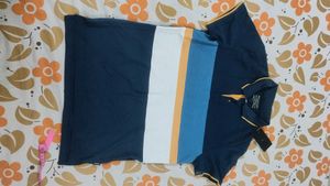 New Striped Polo T-Shirt