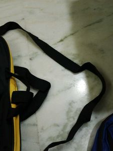Asian Paints Travel Bag