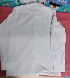 Formal Pure Cotton Shirt