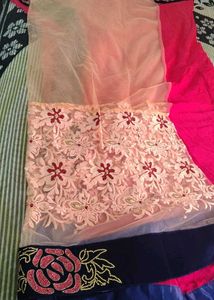 Stunning Pink &amp; Blue Embroidered Saree with Design