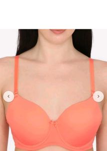 Coral Padded Underwire Bra