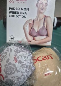 New Dark Blue Padded Bra