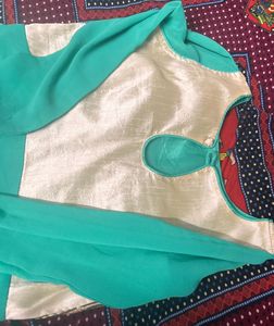 Elegant Anarkali with Gold Embroidery