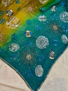 Gorgeous Embellished Saree - Unique Design