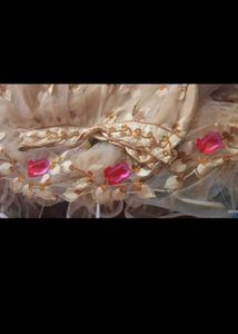 Designer Embroidered Lehenga Choli